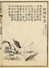 Afbeelding van de prent Boek der Liederen / Mao shi pin wu tu kao, krekels Prent Boek der Liederen / Mao shi pin wu tu kao, krekels