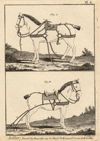 thmbnail of Sellier, travail du bourrelier sur le cheval de brancard et sure le bricollier